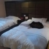 Отель Xi'an Keyi Hotel Chain, фото 10