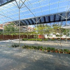 Отель OYO Home 90467 Grapevine Garden, фото 14