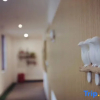 Отель Mishe Jing Leisure Garden Homestay, фото 2