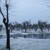 Отель Agriturismo Le Meridiane, фото 5