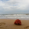 Отель Tasheema Beach Resort, фото 8