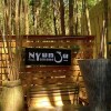 Отель Nyungu Yamawe Forest Park, фото 2