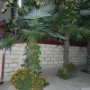 Отель Lile Guest House, фото 21