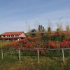 Отель Agriturismo Podere Amati, фото 11