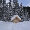 Отель Bergnest - Frühstückspension Katschberg, фото 28