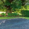 Отель Glenbervie Cottages and Bed & Breakfast, фото 16