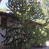 Отель Casa Can Boix, фото 21