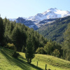 Отель Pichlerhof, фото 6