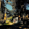 Отель Araucaria Inn, фото 1