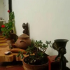 Отель Canela Hospedaje в Сильвия