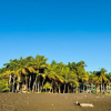 Отель Ocean Front Studio, фото 12