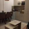 Отель Apartman “N 17”Milmari-Kopaonik, фото 12