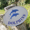 Отель Dolphins, фото 21