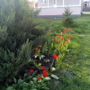 Отель Holiday Home Chapaeva 34, фото 3