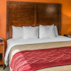 Отель Comfort Inn & Suites, фото 16