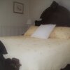 Отель The Dominion House Bed & Breakfast, фото 17