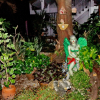 Отель Lamai Homestay And Guesthouse, фото 27