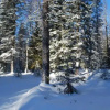 Отель Astrid Cabin Montana, фото 18
