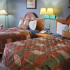 Отель Palmetto Inn, фото 7