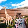 Отель Noah's Ark Hotel & Resort, фото 27