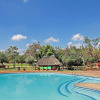 Отель Monateng Safari Lodge, фото 11