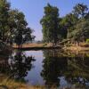 Отель Bagh Tola, Bandhavgarh, фото 28