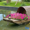 Отель Delight Hotel Lotus Courtyard, фото 10