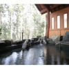 Отель Yuzu-no-Yado Honden, фото 14
