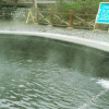 Отель Huashui Bay Zhong'an Hot Spring Hotel, фото 13