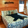 Отель BEAR'S VIEW - 2 Br Cabin, фото 4