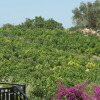 Отель Stylish Villa in Loutra with Private Pool & Garden near Sea Beach, фото 6