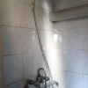 Отель david, фото 15