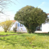 Отель Maison Saint-Georges-d'Oléron, 3 pièces, 4 personnes - FR-1-246A-376, фото 14
