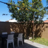 Отель Lemon Tree Apartment, фото 19
