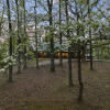 Отель Lacey Dogwood Family Cabin With Free Wifi and Private BBQ by Redawning, фото 9
