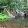 Отель Matatia Valley Guest House, фото 16
