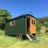 Отель Cosy Woodland off Grid Shepherds Hut - Rowan в Касл-Дугласе