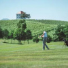 Отель Wine Grower's Mansion Zlati Gric, фото 6