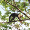 Отель San Simian Lodge, фото 30