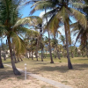 Отель Blue Moon Beach Holiday Resort, фото 23