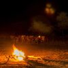 Отель Ngorongoro Tented Camp, фото 1