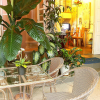 Отель Homestay Thanh Phuong 2, фото 14