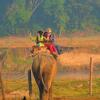 Отель Chitwan Park Village, фото 18