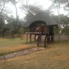Отель The Tree Lodge at Sikumi, фото 4