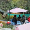 Отель Camp The Parvati River Bank, фото 7