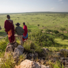 Отель Elewana Tarangire Treetops, фото 7