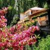 Отель Hunza Baltit Inn, фото 29