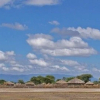 Отель Whistling Thorn Tented Camp, фото 11