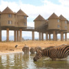 Отель Salt Lick Safari Lodge, фото 31