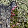 Отель Løkken Fjellgård, фото 41